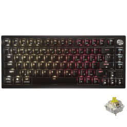 CORSAIR K65 PLUS WIRELESS TACTILE Gaming Keyboard - 75% RGB, CORSAIR MLX Tactile Switches, Top Mounted, Dual-Layer Sound Dampening, PBT Keycaps, QWERTY NA