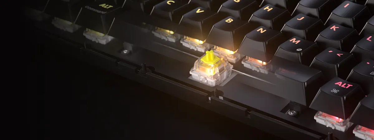 K65 PLUS WIRELESS TACTILE PDP Panel4
