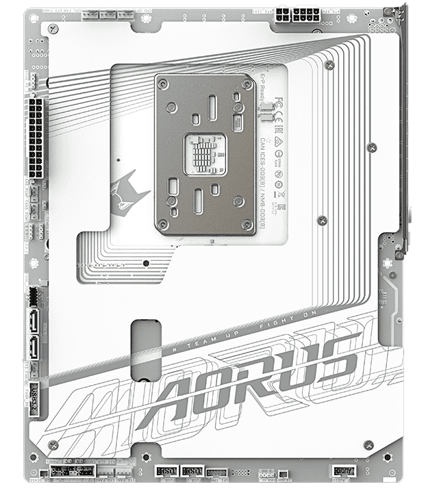 diagram back