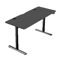 WARRIOR Paladin Series WGT605 Black - Electric Height Adjustable Standing Desk