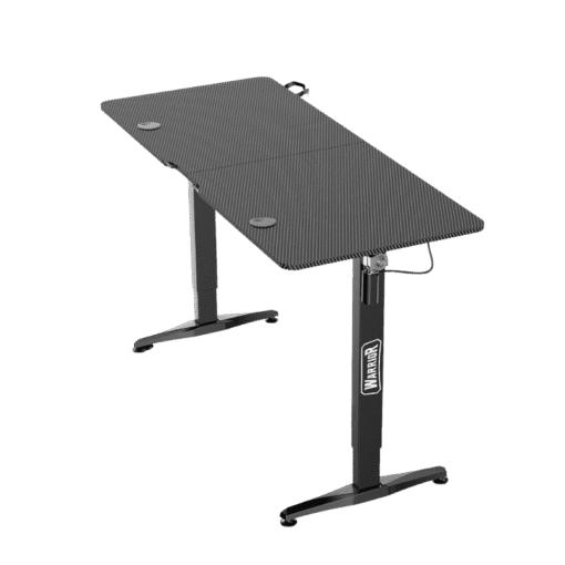 WARRIOR Paladin Series WGT606 Black - Electric Height Adjustable Standing Desk