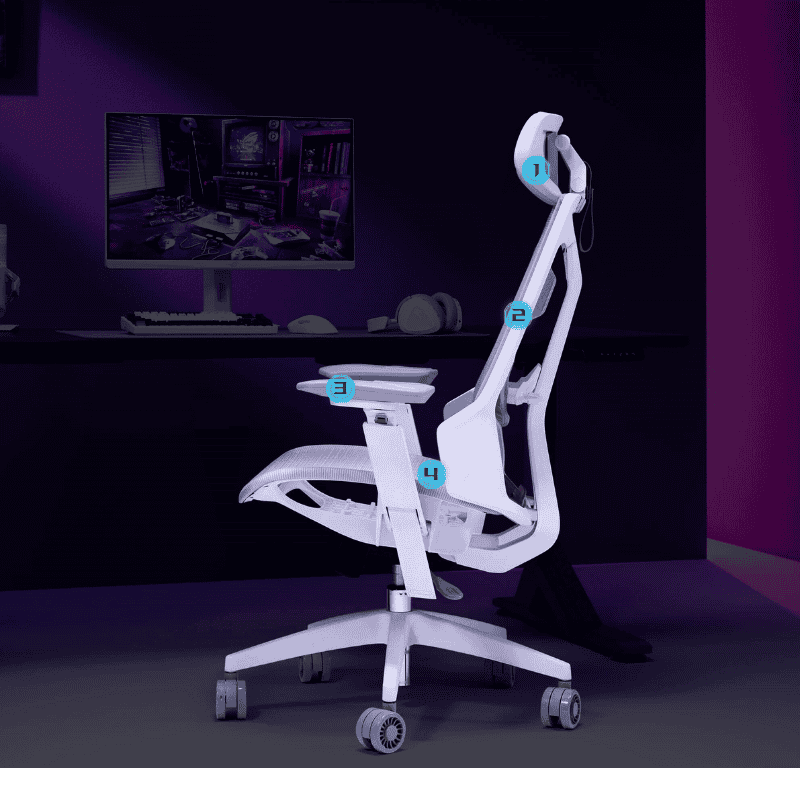 bg fit mb