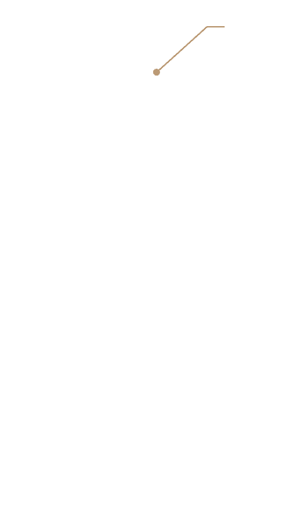 side line